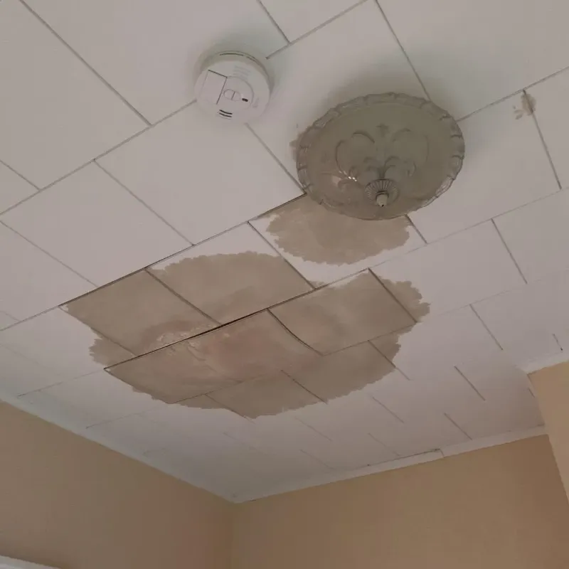 Ceiling Water Damage Repair in Central City, IA
