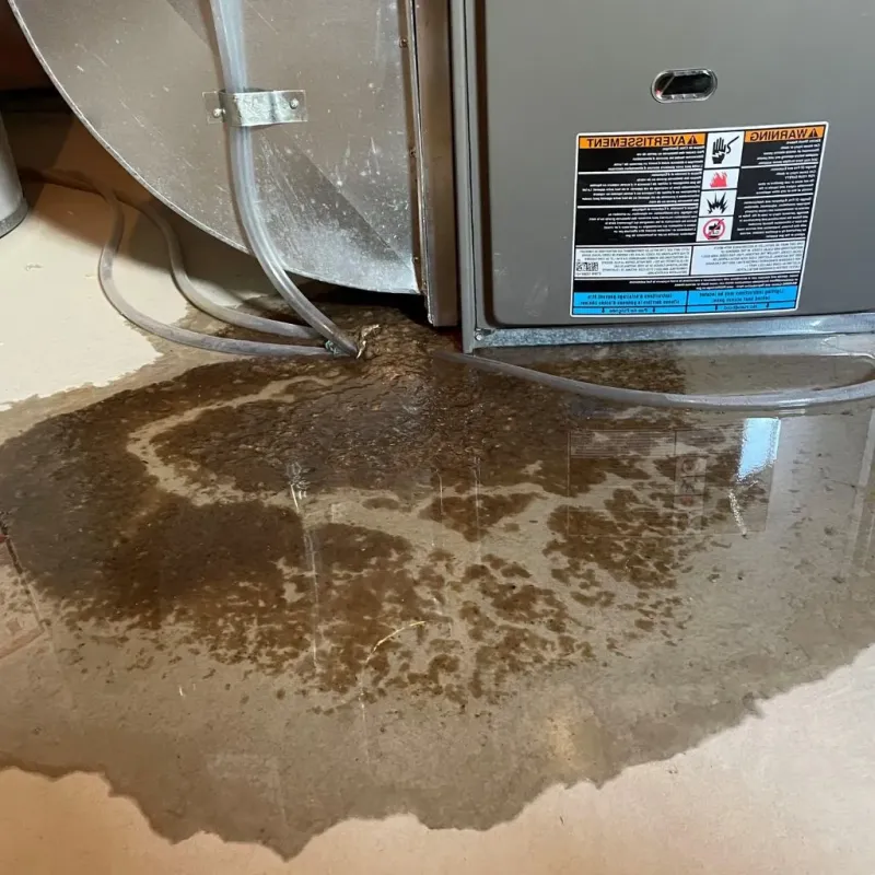 Pipe Burst and Leak Restoration in Central City, IA