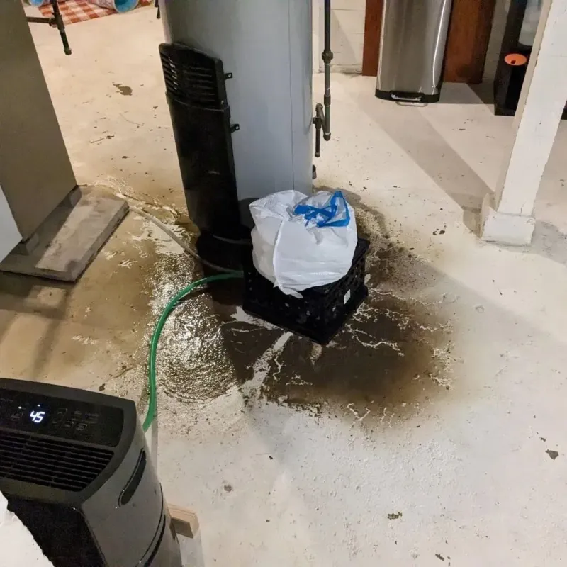 Sewage Backup Cleanup Service in Central City, IA